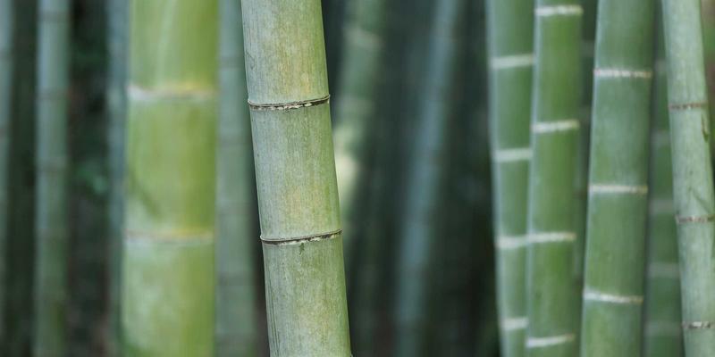 FastAPI性能调优实录：Profiling定位与多级缓存策略