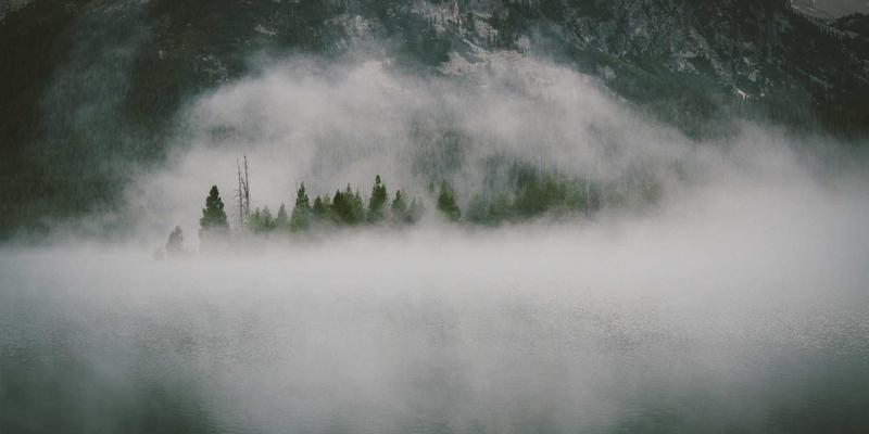 Git Flow与Trunk Based双轨策略：支撑百人团队的版本控制架构