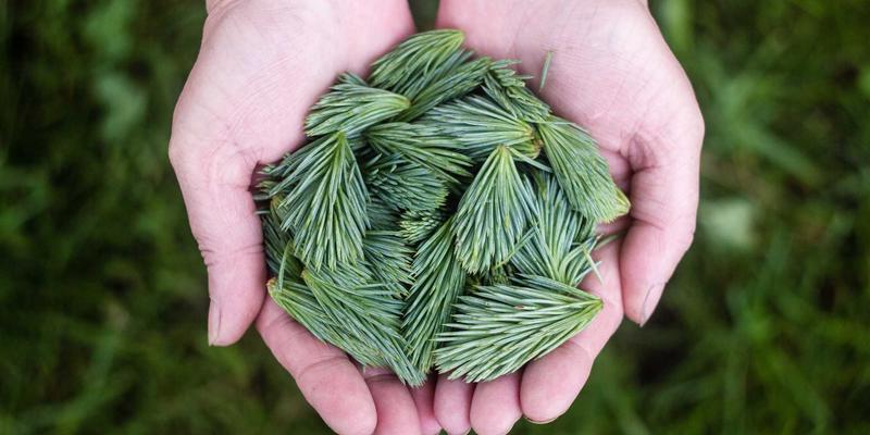 RAG检索增强生成优化：从384维到1024维，召回率提升23%的调优记录