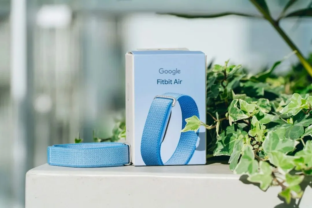 Fitbit Air 手环深度体验:「无屏」只是手段,模型能力才是护城河