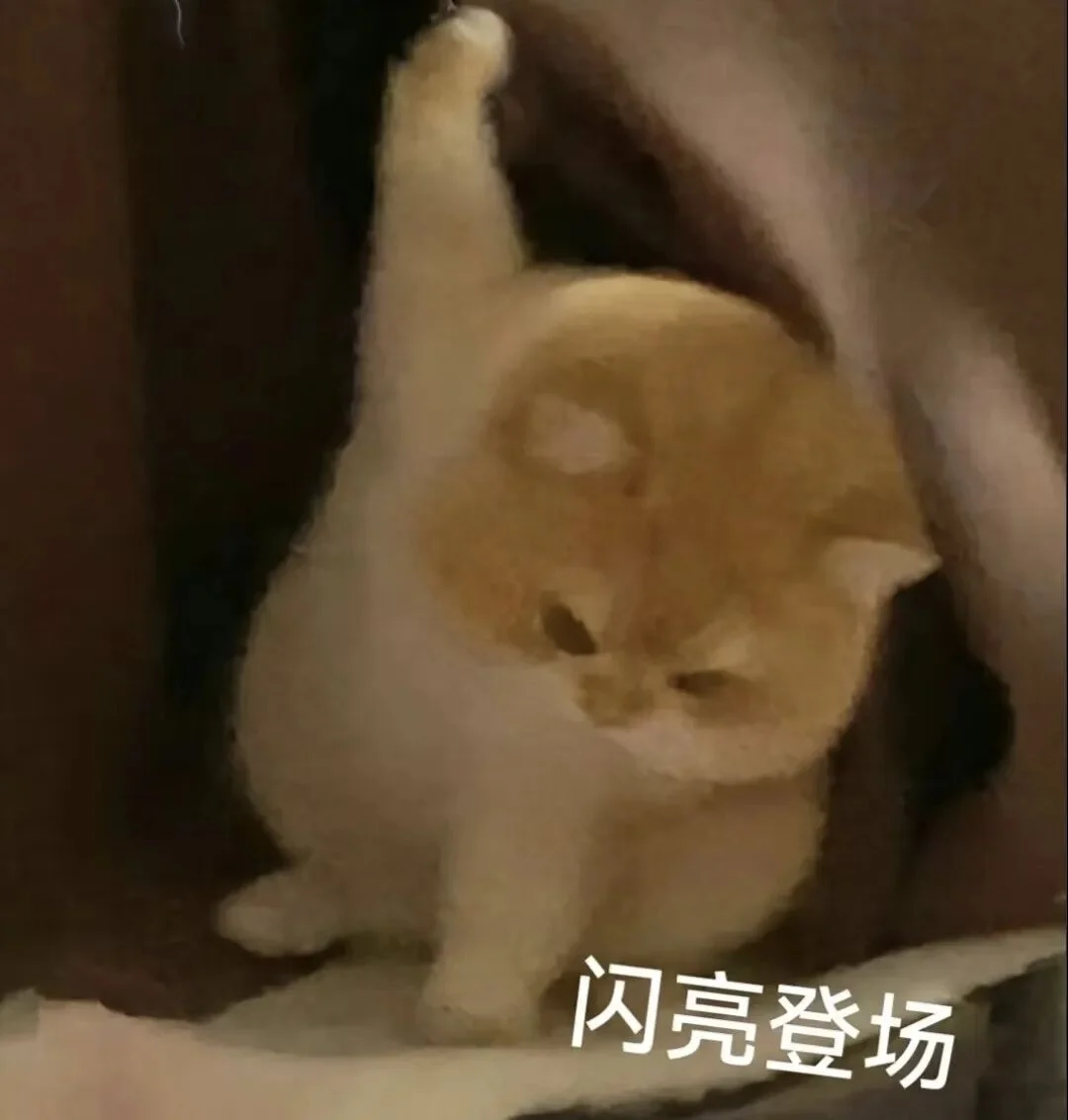 小红书大模型IMO满分夺金,第三题解法让冠军选手直呼优雅