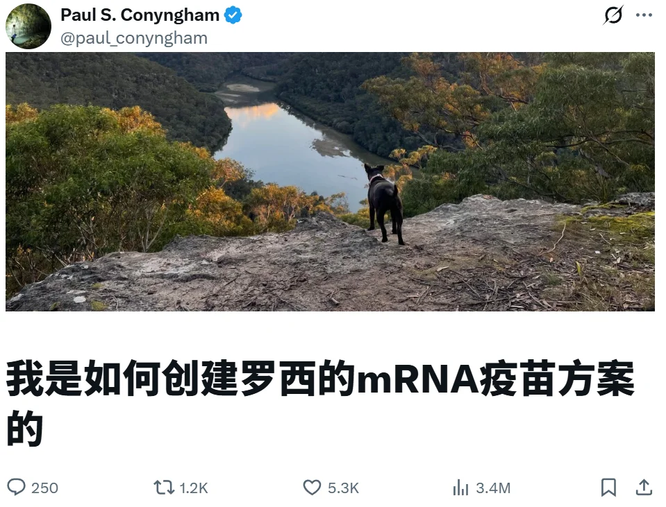 小狗Rosie走了三个月后,她的病历变成了一家AI医疗公司