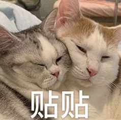 不是吧OpenAI首款硬件吹半天就是个AI音箱??