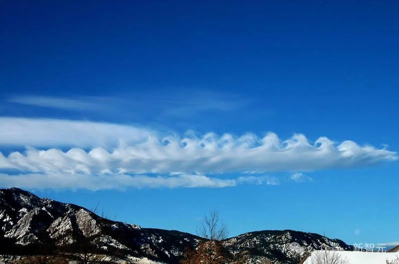 AI写88小时，人类读7周！数学家开始读懂OpenAI千禧难题证明