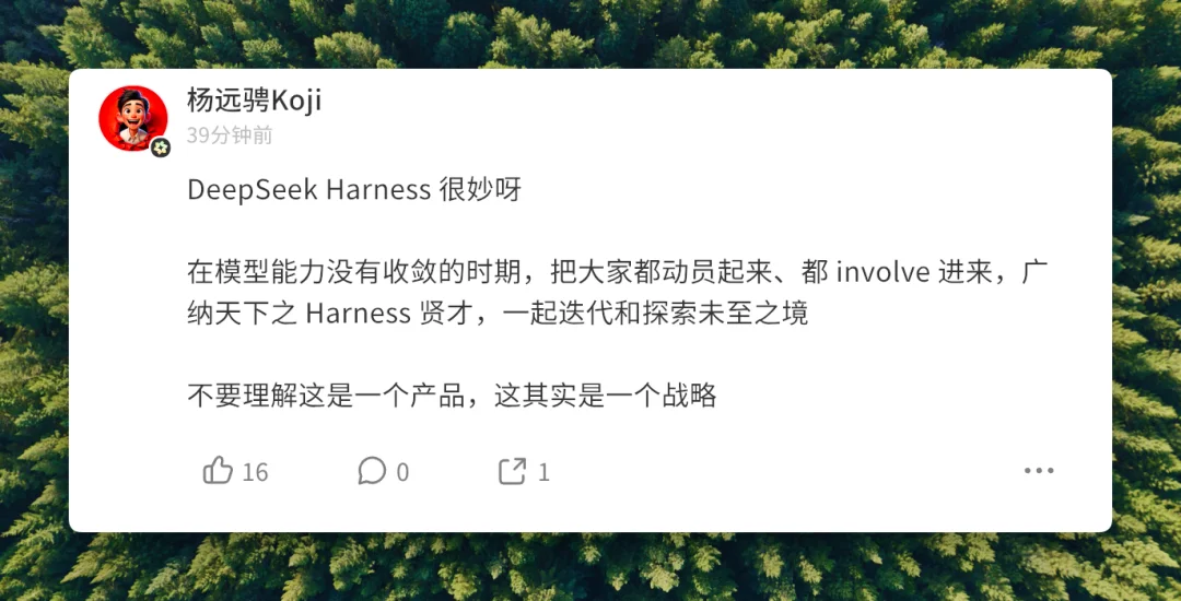 DeepSeek Harness 发布 45 小时,我们听到了 8 种不同的声音