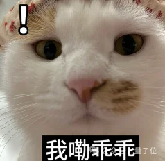 千问7B生图模型开放权重!3090就能跑,2K出图修图抠图全包