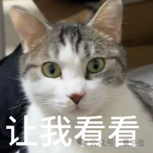 刚刚,逐际动力放出一段Demo,Figure:睡不着啊
