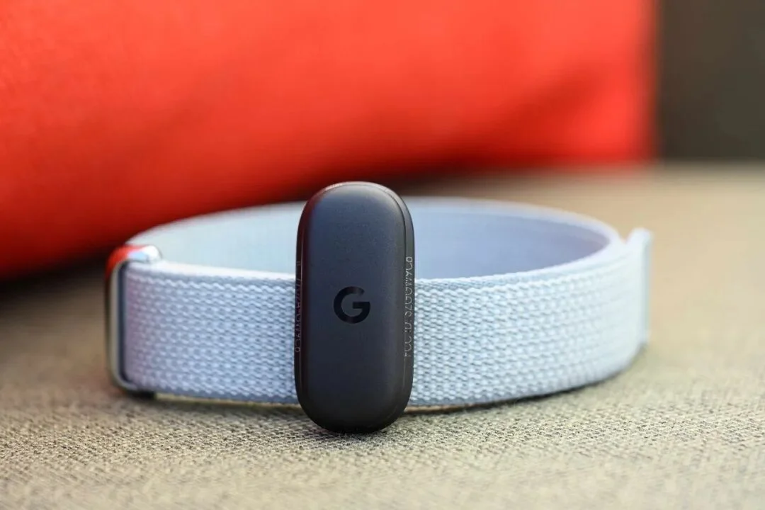 Fitbit Air 手环深度体验:「无屏」只是手段,模型能力才是护城河