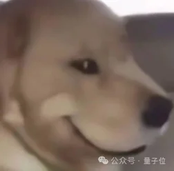 PDF当死,ARA该立!论文是时候Agent原生了