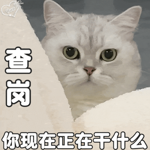 同时管好多个Agent,我总结了3个办法