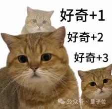 整天唱跳武术的宇树机器人,终于上岗保镖了