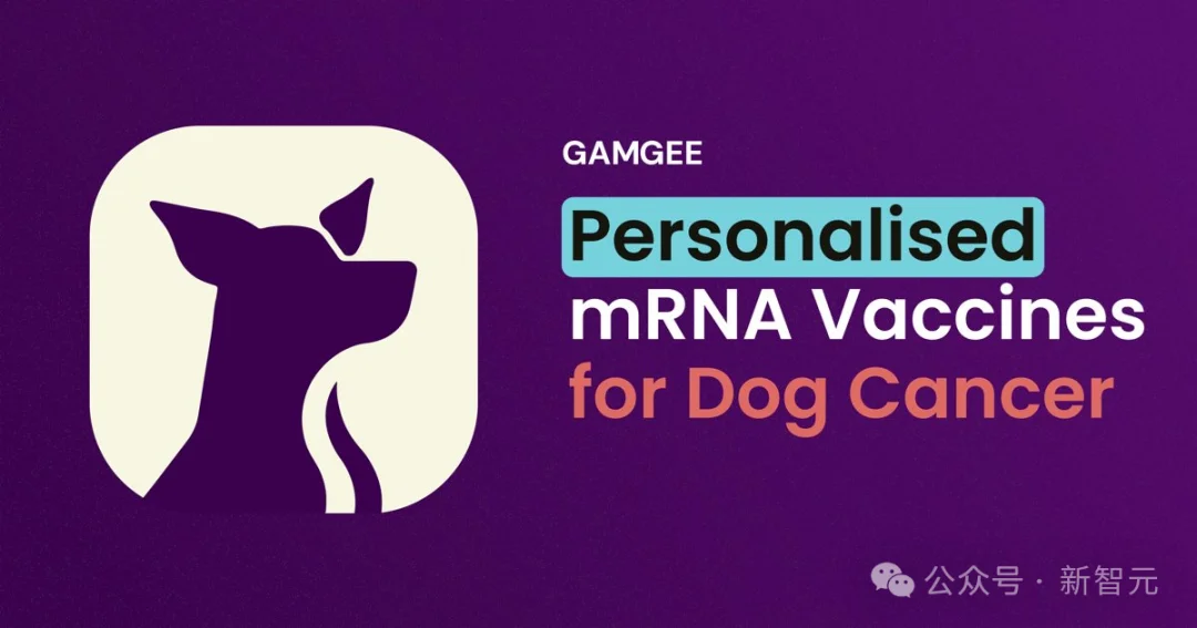 mRNA疫苗太慢，狗主人痛失爱犬！全球首个AI定制狗癌疫苗来了