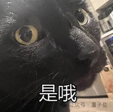 CodeX记忆系统大更新