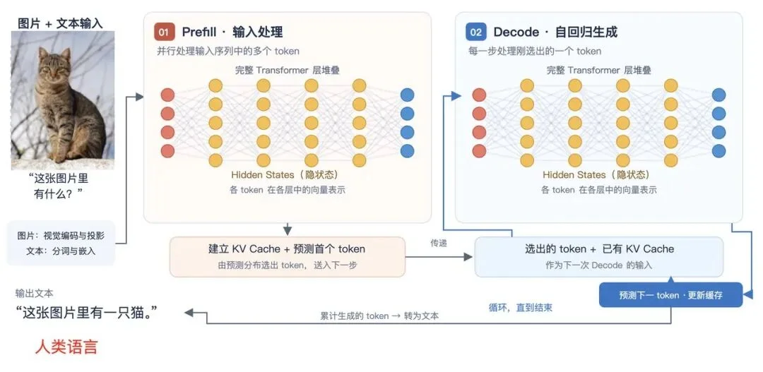独家|撬开Jev黑箱,对话全球首批复现者:9B小模型跑通79毫秒“快决策”