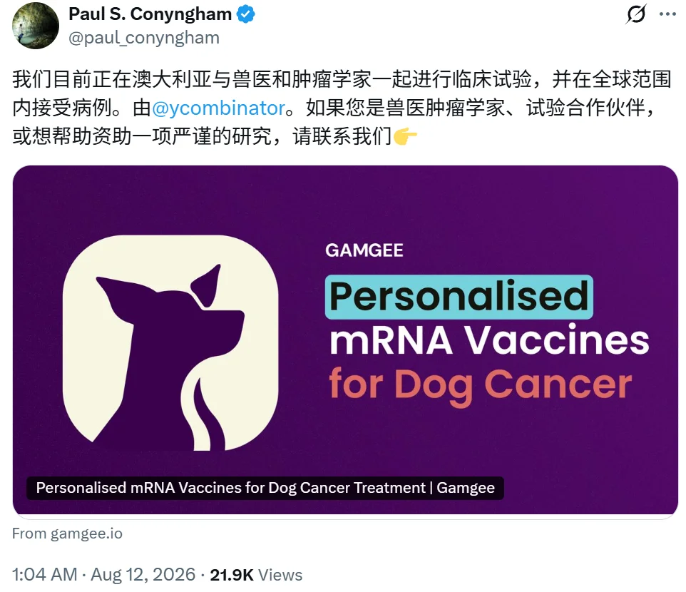小狗Rosie走了三个月后,她的病历变成了一家AI医疗公司