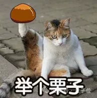 登顶HF榜首!这个Agent做PPT还是太强了
