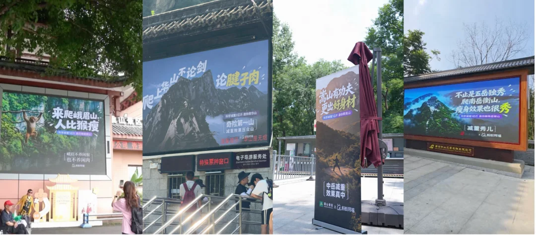 让AI先吃,这个国民级健康难题有解了