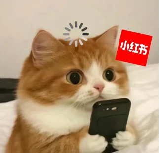 小红书大模型IMO满分夺金,第三题解法让冠军选手直呼优雅