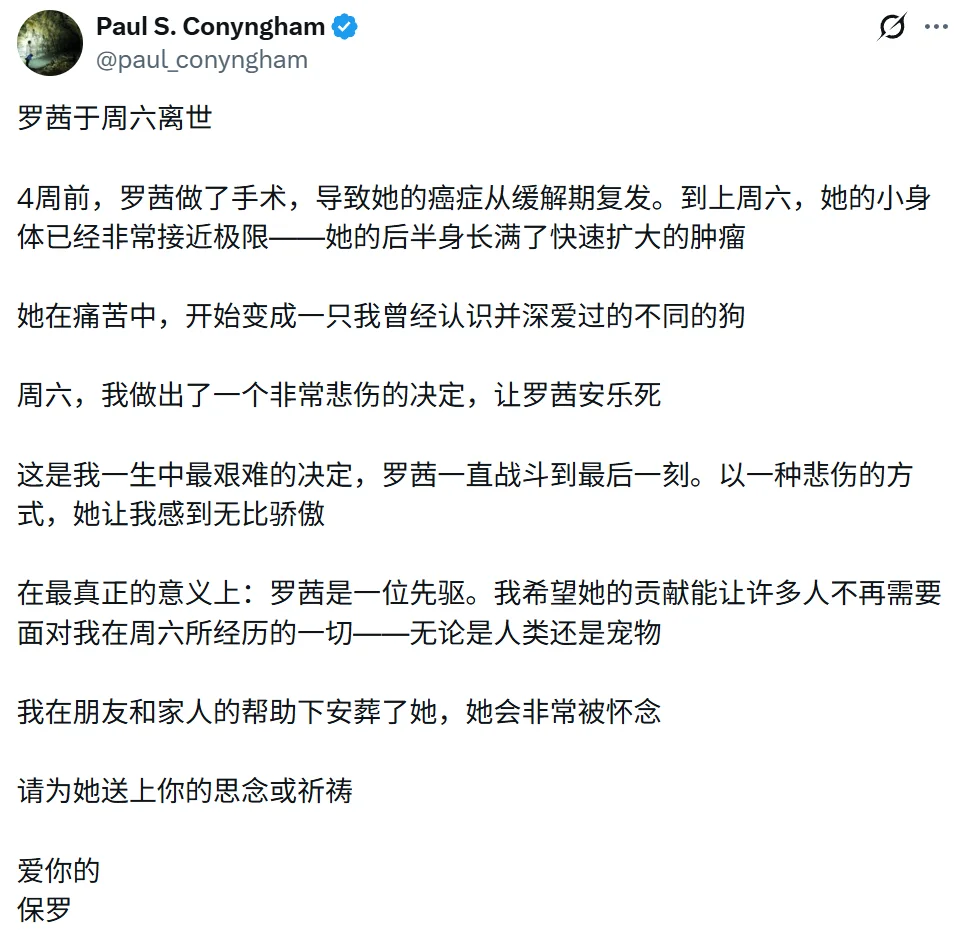 小狗Rosie走了三个月后,她的病历变成了一家AI医疗公司