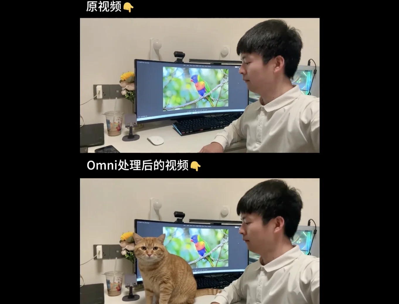 P视频这个事儿终于有工具能搞定了!