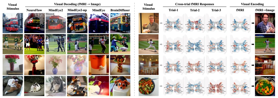CVPR 2026 | 视觉脑机迈向双向交互!神经流模型 NeuroFlow 打通视觉与神经的双向通道