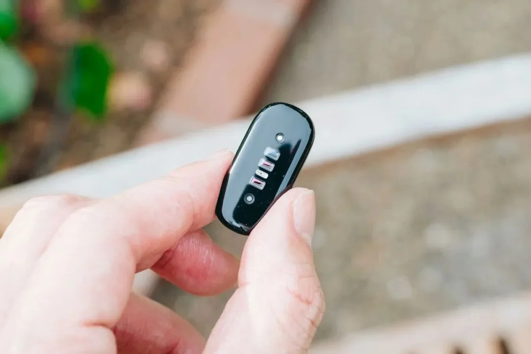 Fitbit Air 手环深度体验:「无屏」只是手段,模型能力才是护城河
