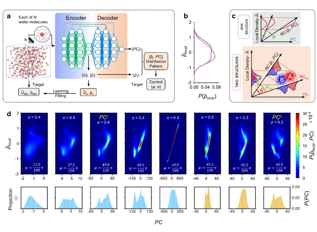 争论几十年的水之谜,被AI一举破解!港城大&中石大成果登Nature Physics