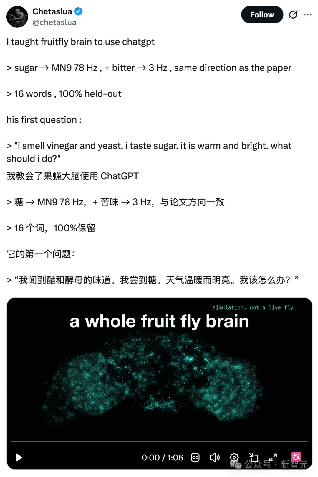 震撼！果蝇大脑成功接上了ChatGPT