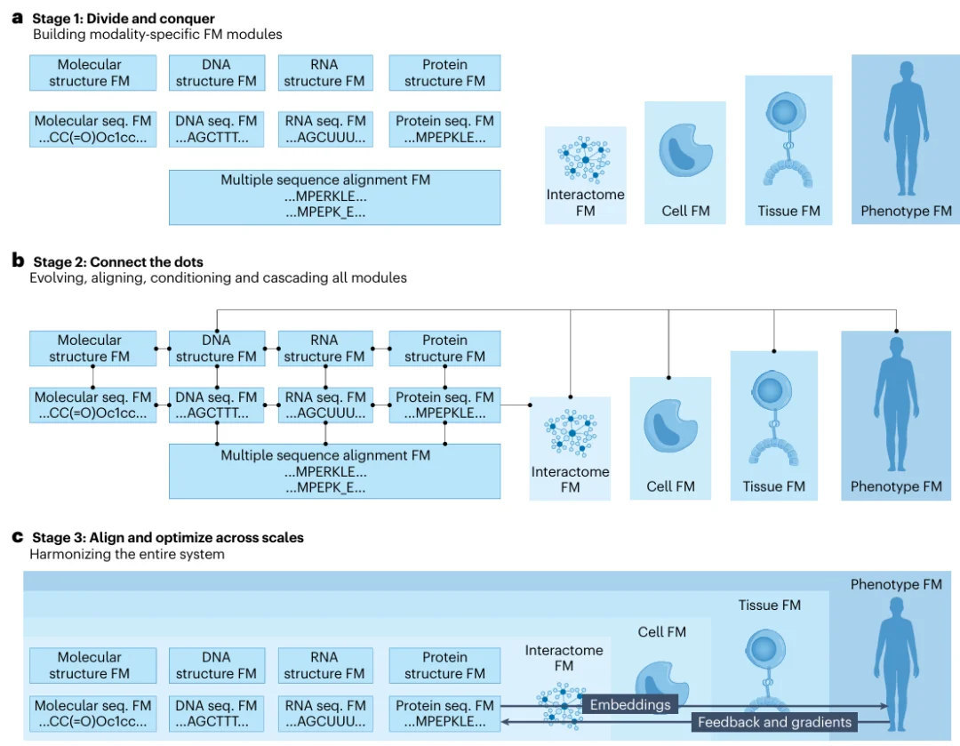 David Baker、宋乐等联手创办GenBio AI: 虚拟细胞只是开始,数字有机体才是终局