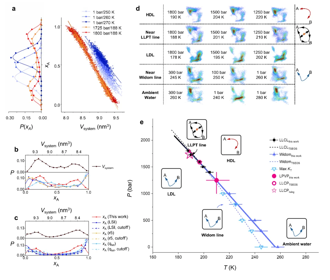 争论几十年的水之谜,被AI一举破解!港城大&中石大成果登Nature Physics