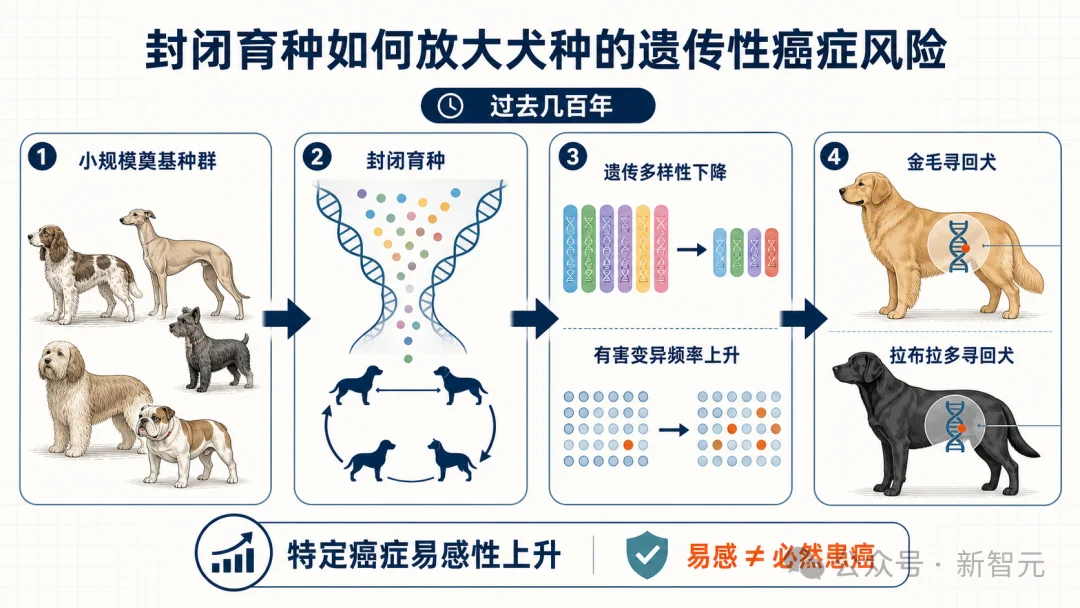mRNA疫苗太慢，狗主人痛失爱犬！全球首个AI定制狗癌疫苗来了