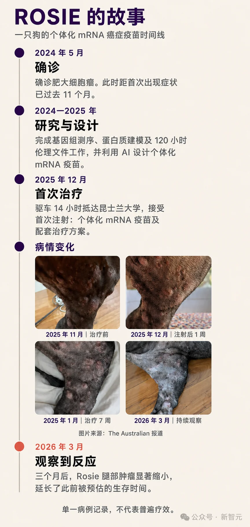 mRNA疫苗太慢，狗主人痛失爱犬！全球首个AI定制狗癌疫苗来了