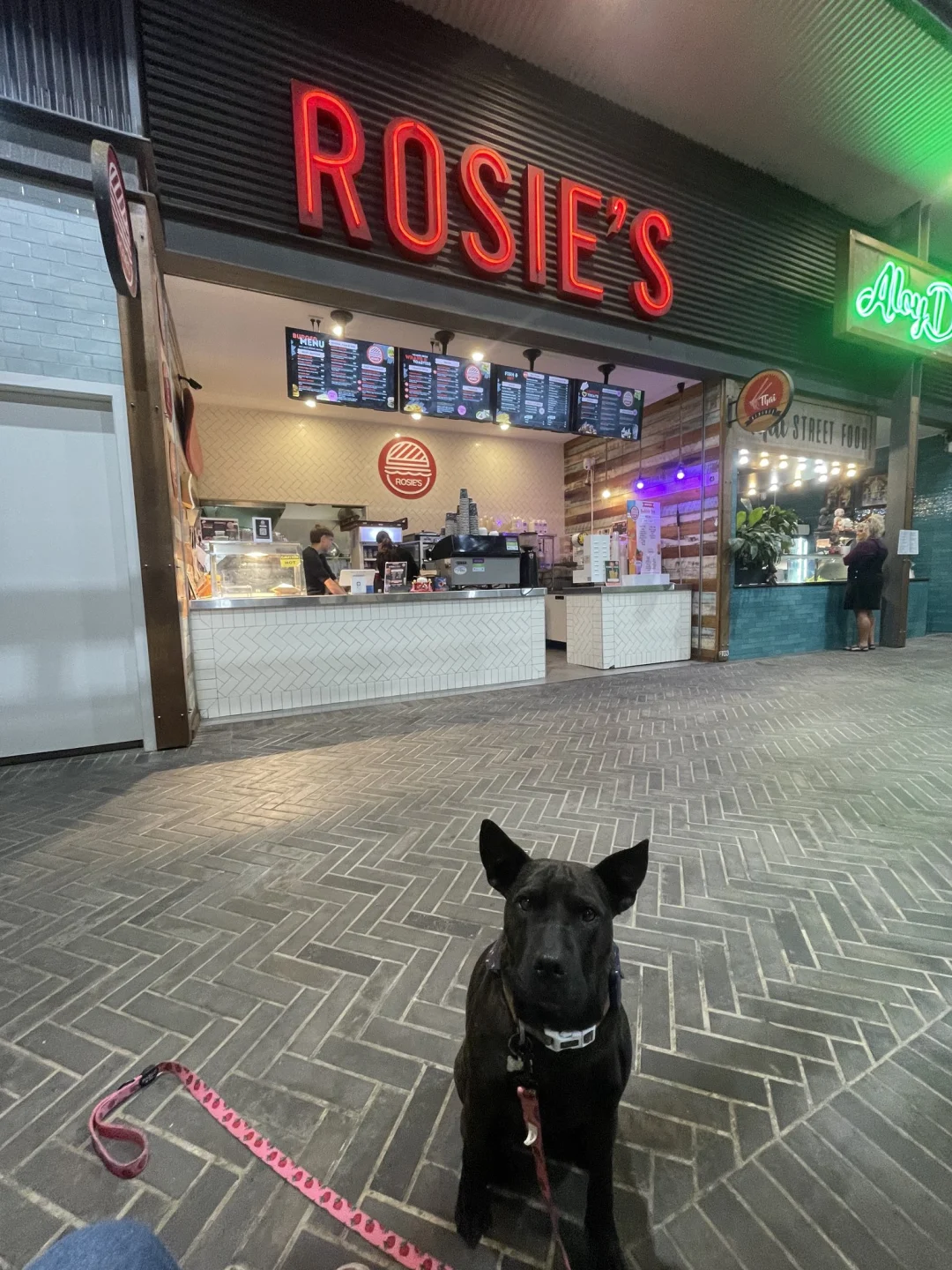小狗Rosie走了三个月后,她的病历变成了一家AI医疗公司