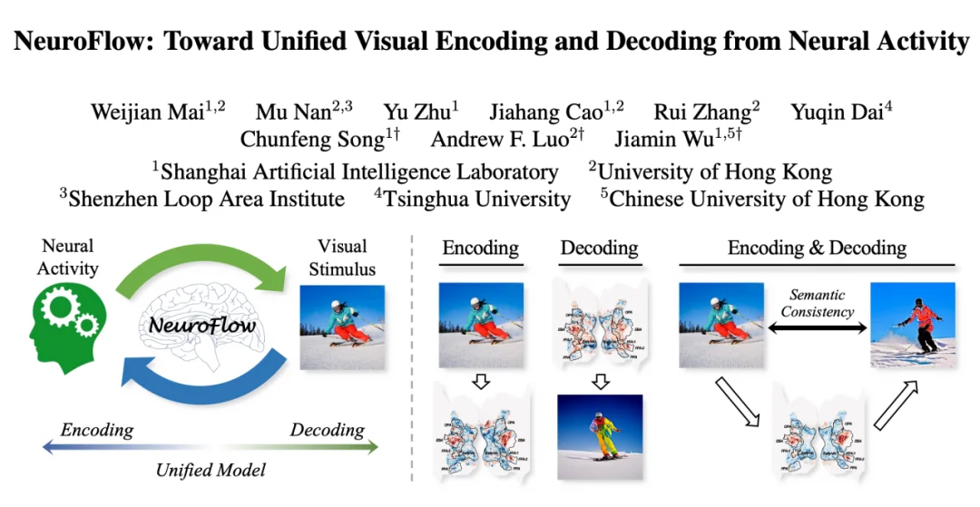 CVPR 2026 | 视觉脑机迈向双向交互!神经流模型 NeuroFlow 打通视觉与神经的双向通道