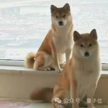 Anthropic曝光多Agent隐患！放一起乱成一锅粥了