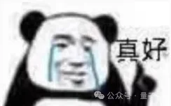 CodeX记忆系统大更新