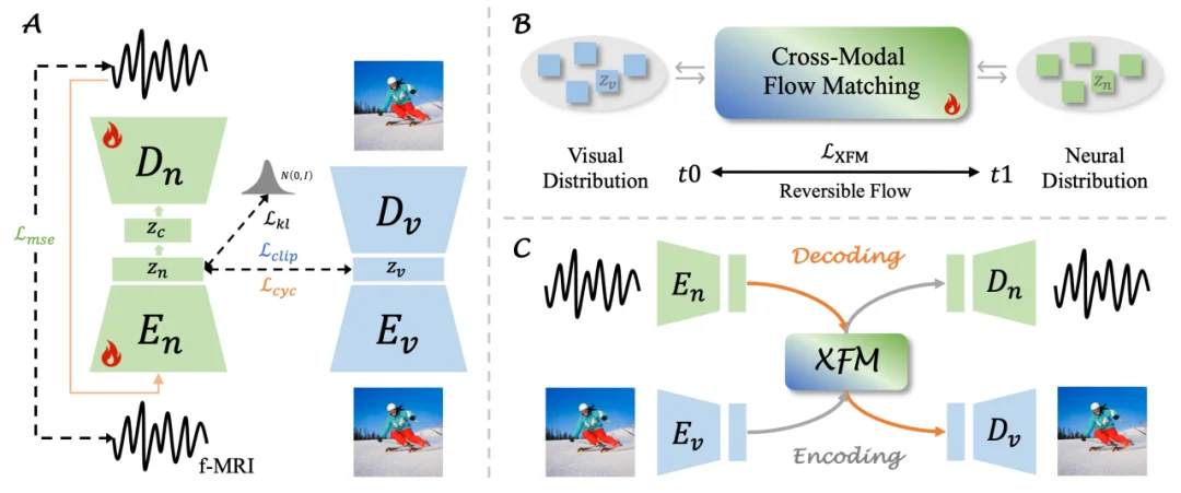 CVPR 2026 | 视觉脑机迈向双向交互!神经流模型 NeuroFlow 打通视觉与神经的双向通道