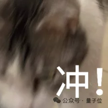 逐际动力再融2亿美元提速港股IPO,张巍:营收对赌不符合具身商业逻辑