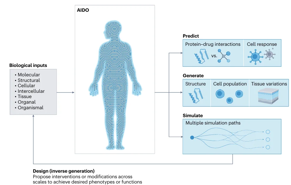 David Baker、宋乐等联手创办GenBio AI: 虚拟细胞只是开始,数字有机体才是终局