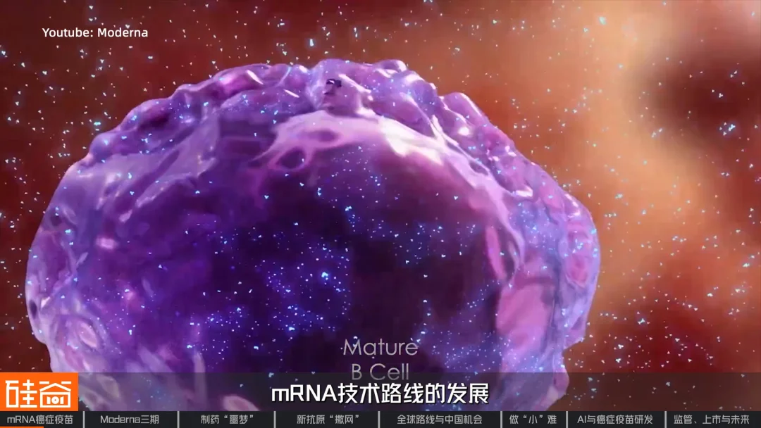 mRNA的第二战场:拆解人类首个肿瘤疫苗三期突破|对话艾博生物CEO英博