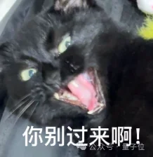 在云栖大会,我终于看懂了米哈游千亿AI野心