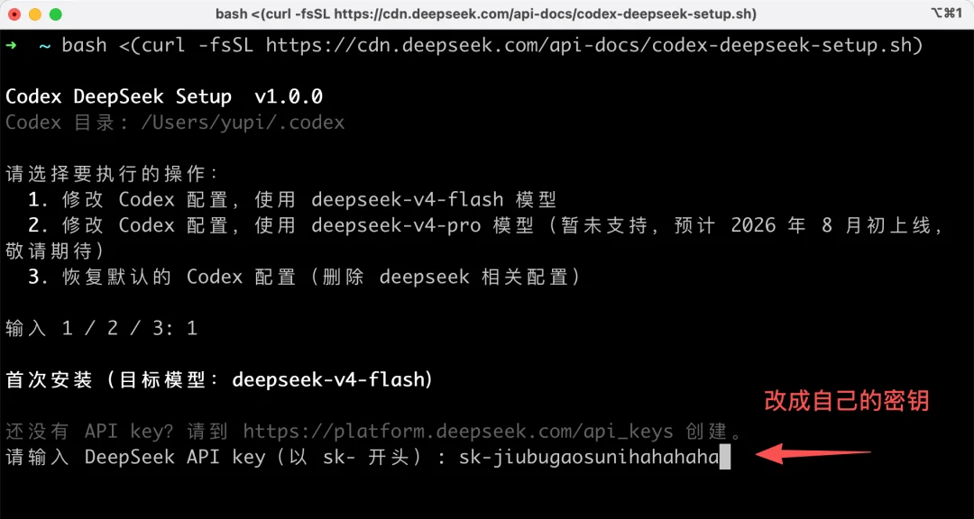 给 Codex 和 Claude Code 接入 DeepSeek-V4-Flash,夯爆了!