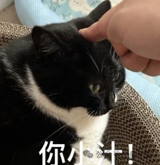 实证研究:AI杀猪盘比人类更强,已上岗缅甸