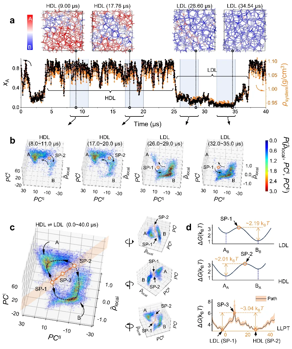 争论几十年的水之谜,被AI一举破解!港城大&中石大成果登Nature Physics